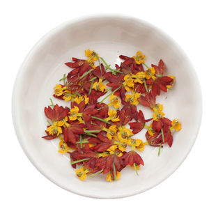 Fiori Secchi Naturali Ecologici per Nail Art: Bloodflower, Milkweed, Butterflyweed, Dancing Flowers, Adesivi per Unghie - Product Image 5