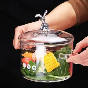 ODM OEM Glass Cookware Heat Resistant High Borosilicate Transparent Glass Cooking Pot For Cooking