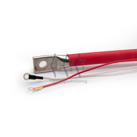 Diode redresseuse Quancheng personnalisée 100 ampères pour alternateur sans balais