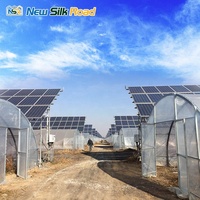Serre solaire photovoltaïque à simple travée avec couverture en film PO pour l'agriculture, taille personnalisable, systèmes d'irrigation et de ventilation