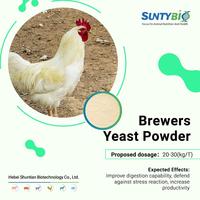 Additif alimentaire inactif de haute qualité pour protéines de levure de bière pour l'alimentation des bovins et des moutons, la nutrition du bétail et de la volaille