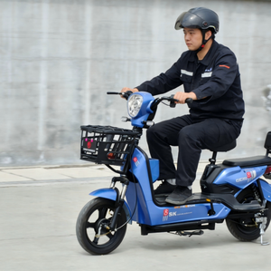 Vélo électrique de ville économique 20AH avec moteur arrière 48V 350W - Product Image 2
