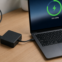Adaptor Daya USBC OEM 100W 20V 5A Pengisian Cepat PD untuk Laptop Gaming Asus ROG MSI dengan Proteksi OVP OTP OCP