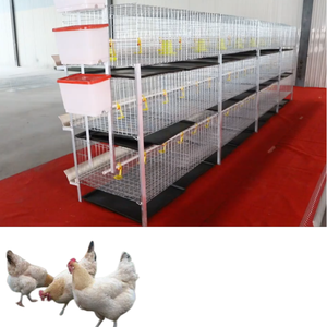 <span class=keywords><strong>H</strong></span>-Typ Geflügel-Broiler-Batteriekäfige <span class=keywords><strong>H</strong></span>ühnerkäfige Feuerverzinkte Batteriekäfige - Product Image 3