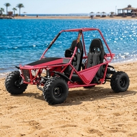 Kandi 150cc 200cc Buggy tout-terrain à essence 4 temps biplace automatique pour adultes, kart à pédales 12V 4 temps
