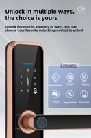 Serrure de porte intelligente à empreinte digitale haute sécurité pour hôtel et maison, avec carte mémoire, pour porte en acier