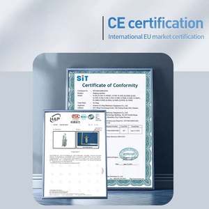 Machine automatique de fabrication et d'emballage à petite échelle pour sachets de liquides (lait, eau, huile de moutarde) et de poudres alimentaires - Product Image 6