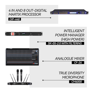 Système de haut-parleurs passifs à <span class=keywords><strong>ligne</strong></span> acoustique professionnelle CHORDIO TG-212P de qualité supérieure, vente chaude, double 12 pouces, 800 W RMS/2400 W, 55 Hz-20 kHz - Product Image 4
