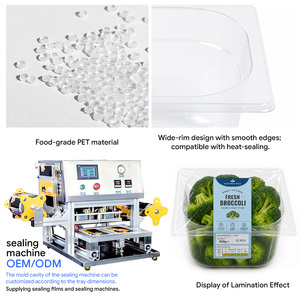 Bandeja Desechable Transparente de PET Termosellable para Alimentos, Frutas, Ensaladas, Carnes, Comida Preparada, Libre de BPA, con Logotipo Personalizado - Product Image 3