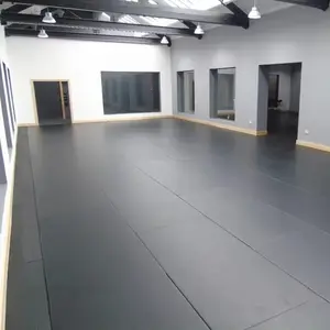 EVA Artes Marciales Judo Piso Cojín Taekwondo Tatami EVA Puzzle Judo Mat