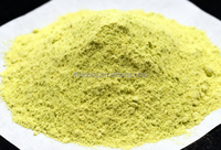 Poudre d'extrait de Offre Spéciale 95% extrait de quercétine Sophora Japonica poudre de rutine