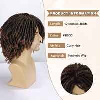 Perruques synthétiques FH P13574 résistantes à la chaleur, cheveux tressés au crochet, perruque afro dreadlocks pour hommes et femmes