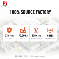 Pi Factory Direct Vérin linéaire à vis à billes, Plateau de positionnement linéaire, Haute répétabilité, Fourniture en gros, OEM pour le positionnement de caméras