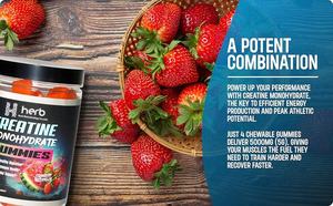 Complément alimentaire sportif en gommes de créatine monohydrate à marque privée ODM/OEM pour la gestion de l'énergie des adultes, durée de conservation de 24 mois - Product Image 5