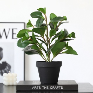 Bonsaï artificiel populaire <span class=keywords><strong>de</strong></span> haute qualité en forme <span class=keywords><strong>de</strong></span> feuille <span class=keywords><strong>de</strong></span> tortue pour la décoration élégante <span class=keywords><strong>de</strong></span> bureaux et <span class=keywords><strong>de</strong></span> maisons intérieurs - Product Image 4