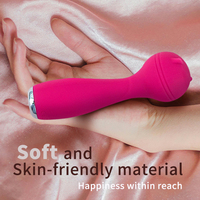 AIERSHA Bestseller Frauen Klitoris Stimulus Silikon Elektro AV Vibrator Zauberstab USB Power Masturbation Sexspielzeug Hot Selling