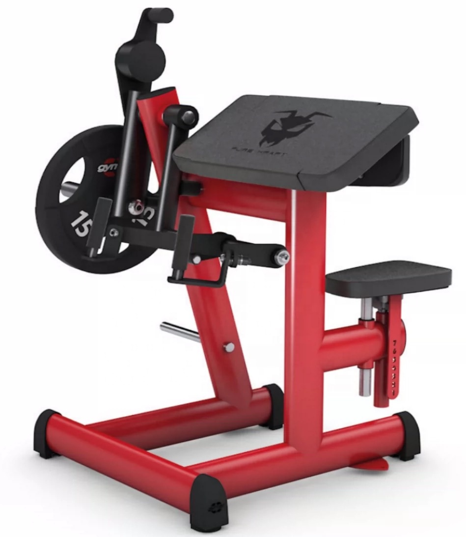 Тренажерный Зал Тело индивидуальный стальной логотип Строительство упаковка цветная бицепс французский жип на трицепс для плиты оборудование для продажи