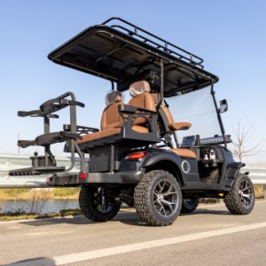 Carrito de <span class=keywords><strong>Golf</strong></span> Eléctrico Todoterreno de 14 Pulgadas, Homologado para Calle, <span class=keywords><strong>Precio</strong></span> Económico, 60v, 4 Plazas, Directo de Fábrica - Product Image 6