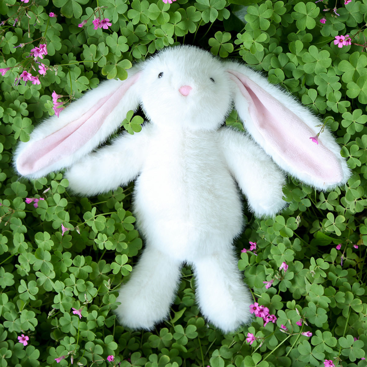 Nini conejo blanco
