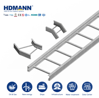 Échelle à câbles en fibre de verre GRP non métallique certifiée NEMA Hdmann pour le routage de câbles électriques en extérieur sur les sites miniers