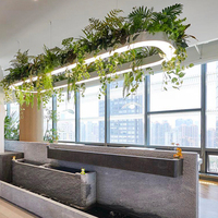 Lustre LED circulaire ovale vert pour plantes, luminaire décoratif pour salon, chambre, salle à manger, bureau à domicile