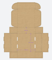 Caja de Cartón Corrugado Reutilizable y Reciclable de Primera Calidad, con Impresión Personalizada en Relieve, Forma de Avión, Plegable, para Embalaje de Regalos para Comercio Electrónico