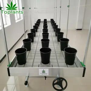 Rolling hydroponic system ebb and flow benches table including different plastic tray