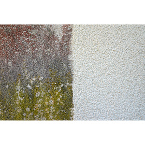 Nettoyage de façades à Böblingen et Sindelfingen - Product Image 1