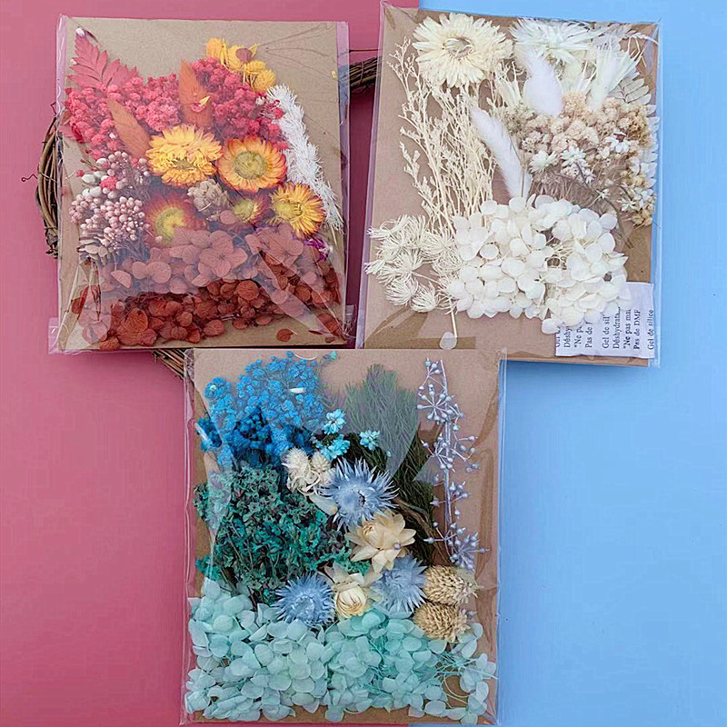 Other Decorative Flowers and Plants Dried
