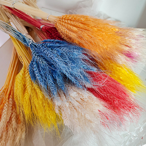 Vente directe par le fabricant du Yunnan de bouquets de blé séchés biologiques de plantes de fleurs éternelles naturelles et de faisceaux de paille pour mariage à la maison - Product Image 6