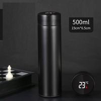 500ml Termo Thermos bouteille tasse flacon Led affichage de la température en acier inoxydable bouteille d'eau intelligente avec filtre infuseur
