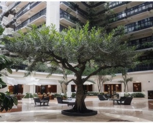 Large Artificial <strong>Olive</strong> <strong>Tree</strong> - Product Image 2