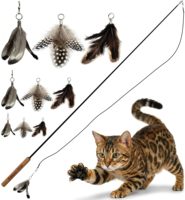 En gros, Plumes de poulet colorées en vrac, Plumes de fée, Jouet interactif pour animaux de compagnie, Baguette de chat d'intérieur, Jouet en fourrure et plumes