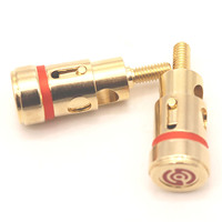 Pièces usinées CNC DARE, assemblage d'amplificateur de haut-parleur de tour automatique de précision, vis audio en laiton anodisé noir, usinage par électroérosion à fil, OEM/ODM