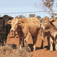 Clôture de champ à charnières galvanisées pour les fermes d'ovins et de cervidés