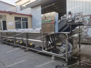 DZJX Waschmaschine für Zwiebeln Tomatenpappas Fliegelfische Lebensmittelfabrik Entkalkung Zitrone und Drücken Fruchtpeeling Kartoffeln