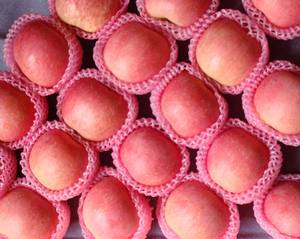 Nourriture de Super qualité Fruits frais surgelés rouge Fuji Apple IQF Apple - Product Image 2