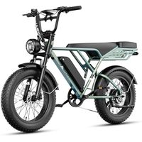 Expédition rapide depuis les entrepôts américains et européens, vélo électrique à pneus larges, vélo de route électrique 750W, Bicicleta Electric Fatbike