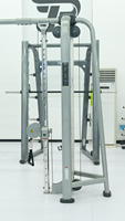 Máquina de Cross Training Ajustable ROSEN Fitness para Gimnasios Comerciales
