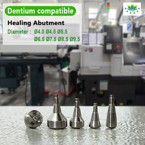 Khớp nối phục hình Dentium Super Line Healing TC4ELI, Titan cấp 5, bán trực tiếp từ nhà máy, hàng có sẵn, giao hàng nhanh 24 giờ - Product Image 6