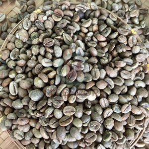 Wholesale Vietnam Robusta Coffee <b>Beans</b> Size 16 A Plus 95-99% Purity Green <b>Beans</b> 60kg <b>Bags</b> High Quality for Roasting Factory - Product Image 1