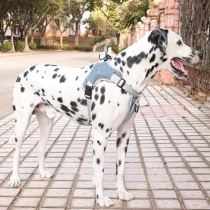 Conjunto de arnés y correa para perros de primera calidad, chaleco de tela vaquera suave para mascotas, correa reflectante ajustable sin tirones para <span class=keywords><strong>collar</strong></span> de perro para cachorros y perros - Product Image 3