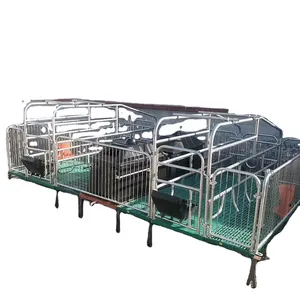 Cage d'abreuvoir en plastique pour truie à vendre équipement de porcs de stalle de mise bas élevée boîte de caisses de stylo de mise bas en acier inoxydable pour porcs