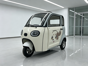 Triciclo para Adultos de 3 Ruedas, Scooter de Carrocería Cerrada con Motor de 800W, 3 Pasajeros, Alcance de 50-70km para Compras y Distancias Cortas, Alta Potencia - Product Image 4
