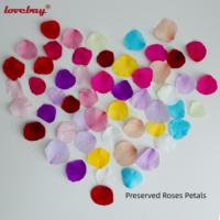 Lovebay Hochwertige Gemischte Bunte Rote Konservierte Rosenblätter Umweltfreundliche Natürliche Rosenblätter für Hochzeit Party Festival Dekoration