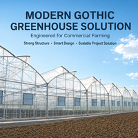 Exportkwaliteit Prefab geprefabriceerde, eenvoudig te installeren, gegalvaniseerde buisframe grote landbouwproductie multispan kas