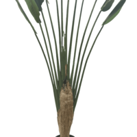 CHUANGFA 2.25M Palmier Artificiel du Voyageur Bonsaï Arbre en Plastique en Forme d'Éventail pour Bureau et Paysage Décoration pour Anniversaire Pâques