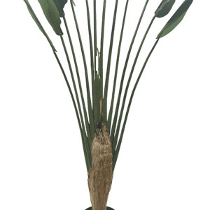 CHUANGFA 2.25M <span class=keywords><strong>Palmier</strong></span> Artificiel du Voyageur Bonsaï Arbre <span class=keywords><strong>en</strong></span> Plastique <span class=keywords><strong>en</strong></span> <span class=keywords><strong>Forme</strong></span> <span class=keywords><strong>d</strong></span>'<span class=keywords><strong>Éventail</strong></span> pour Bureau et Paysage <span class=keywords><strong>D</strong></span>écoration pour Anniversaire Pâques - Product Image 2