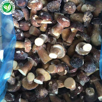 Champignons entiers IQF Boletus Edulis Prix Champignons Congelés Suillus Luteus Chine SD 12 Tonnes (Charge Mixte avec Durée de Conservation de 24 Mois Toute l'Année)