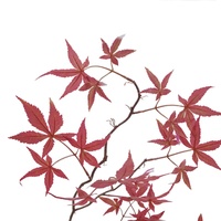 Plante artificielle en soie de haute qualité de style nordique, grandes feuilles d'érable montées sur branche, pour la décoration intérieure, les arrangements floraux et les accents de restaurant